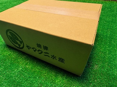 a15-647　珍しい「ウナギのひもの」【静岡産】