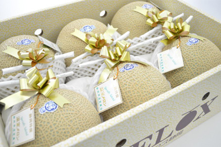 b100-031 静岡マスクメロン【6玉】(山等級)