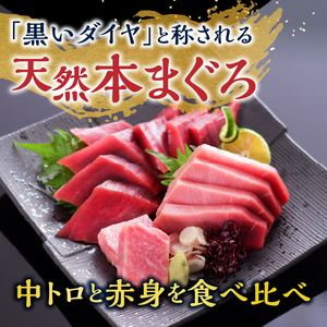 a15-662 訳あり 天然本まぐろ中トロと赤身セット