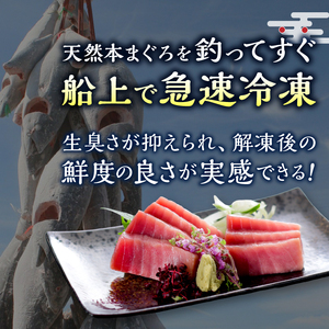 a15-662 訳あり 天然本まぐろ中トロと赤身セット