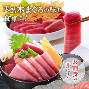 a15-662 訳あり 天然本まぐろ中トロと赤身セット