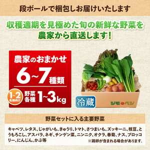 a08-007d　ジモベジ 野菜 ハーフセット