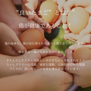 a11-163　福が、きた　卵かけごはん セット