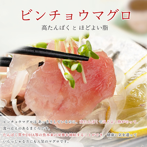 a47-007　天然 ビンチョウマグロ ブロック 大容量 業務用 焼津 海の極 10kg