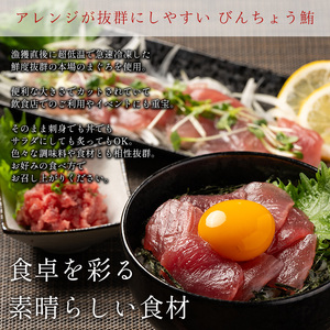 a47-007　天然 ビンチョウマグロ ブロック 大容量 業務用 焼津 海の極 10kg