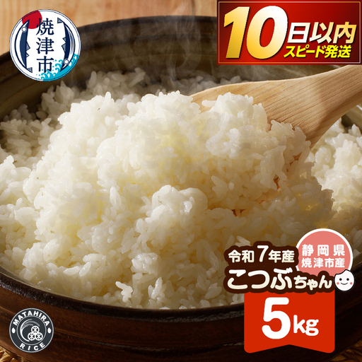 a12-285　令和７年産 おいしく節約 しあわせごはん お米の小粒ちゃん 5kg