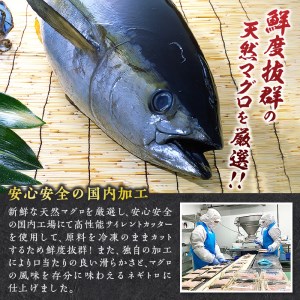 a20-350　甲羅組 天然 ねぎとろ 500g 6P 合計 3.0Kg