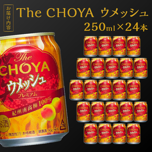 a15-513　The CHOYA ウメッシュ 250ml×1箱（24本）