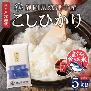 a60-010　定期便6回 令和5年産新米 マグロ ネギトロ に合う 焼津のお米 こしひかり 5kg【定期便】