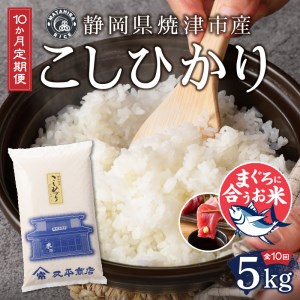 b10-055　定期便10回 令和5年産新米 マグロ ネギトロ に合う 焼津のお米 こしひかり 5kg【定期便】