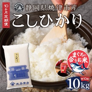 b15-028　定期便10回 令和5年産新米 マグロ ネギトロ に合う 焼津のお米 こしひかり 10kg【定期便】