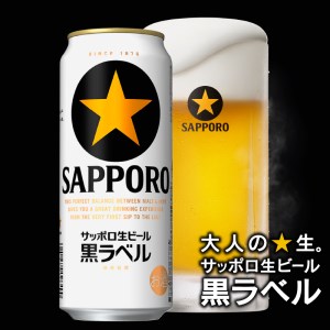 T0006-2002　【定期便2回】黒ラベルビール 500ml×1箱(24缶)【定期便】
