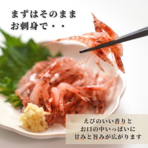 a10-679 焼津特選 生桜えび100g×3