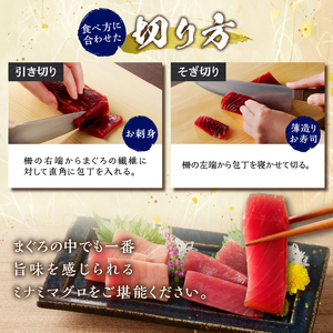 a20-427 天然南鮪 中トロ・赤身 刺身二種盛り