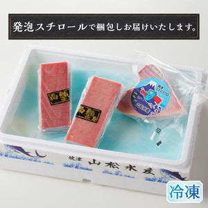 a20-427 天然南鮪 中トロ・赤身 刺身二種盛り