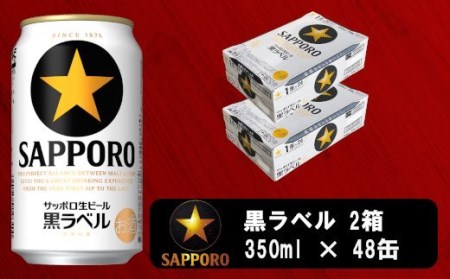 a30-230 ビール 黒ラベル サッポロ 350ml×2ケース【セット商品