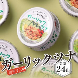 a15-071　ガーリックツナ24缶入