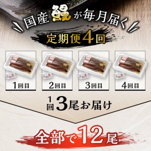 b100-058　【定期便4回】 鰻 長焼き