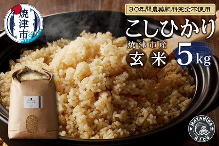 a21-038　30年間無農薬・無肥料のお米（玄米）コシヒカリ5kg