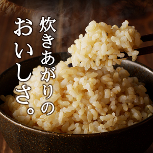 a21-038　30年間無農薬・無肥料のお米（玄米）コシヒカリ5kg
