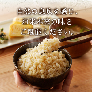 a21-038　30年間無農薬・無肥料のお米（玄米）コシヒカリ5kg