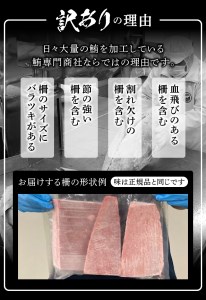 a10-858　訳あり 天然 南鮪 赤身 約600g