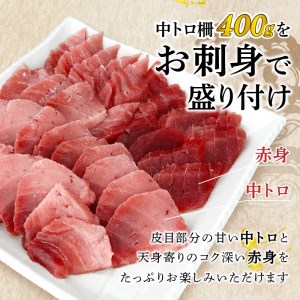 a10-859　訳あり 天然 南鮪 中トロ 約400g