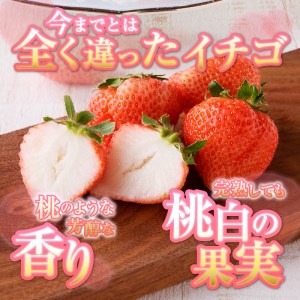 a20-319　いちご希少品種「桃薫」～桃の香り＆食感8パック～