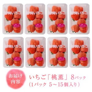 a20-319　いちご希少品種「桃薫」～桃の香り＆食感8パック～