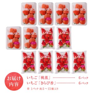 a30-225　いちご「 桃薫・きらぴ香」食べ比べセット 計12パック