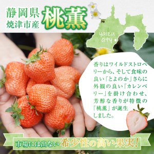 a30-224　いちご希少品種「桃薫」～桃の香り＆食感12パック～