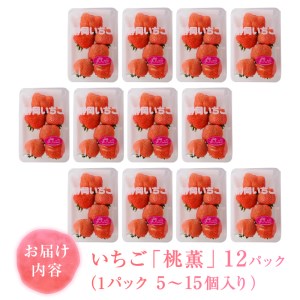 a30-224　いちご希少品種「桃薫」～桃の香り＆食感12パック～