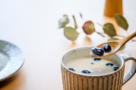 a15-540　FORIVORA ラテシリーズ ノンカフェインセット 40P