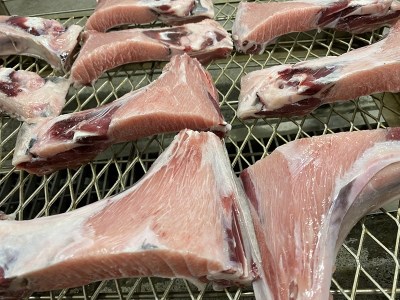 a10-895 焼いてある! 鮪 カマトロ の 干物