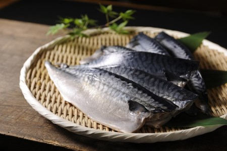 a24-033　5.0㎏以上！ 国内産 無添加 さば フィレ