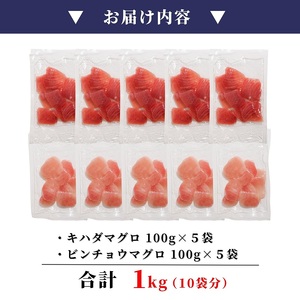 a10-924　天然鮪 焼津 キハダマグロ ビンチョウマグロ 計1kg