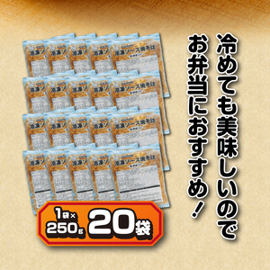 a13-050　マルちゃん冷凍ソース焼そば（肉・野菜入り）20袋