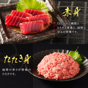 m10-001　【定期便10回】南鮪 1本 総重量約29kg（各月約2.9kg）【定期便】