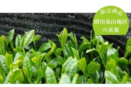 ご家庭用　掛川の深蒸し茶　300ｇ５本 大井製茶　1906