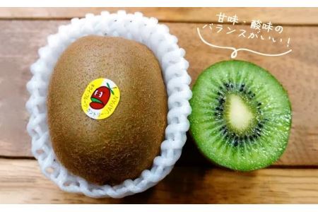 グリーンキウイ「ヘイワード」8~9個 国産キウイ 5882