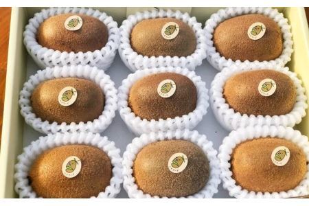 グリーンキウイ「ヘイワード」8~9個 国産キウイ 5882