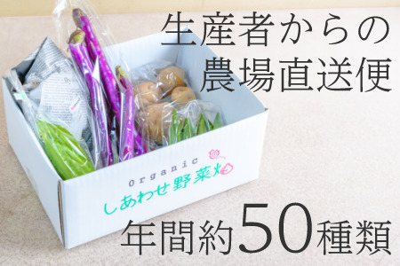 オーガニック野菜おためしセット(5種類）　有機JAS認証 有機野菜 6336