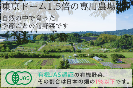 オーガニック野菜おためしセット(5種類）　有機JAS認証 有機野菜 6336