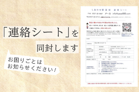 オーガニック野菜おためしセット(5種類）　有機JAS認証 有機野菜 6336