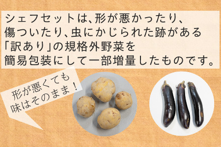 【訳あり】オーガニック野菜シェフセット7~10袋　フードロス 有機JAS認証 有機野菜 6148