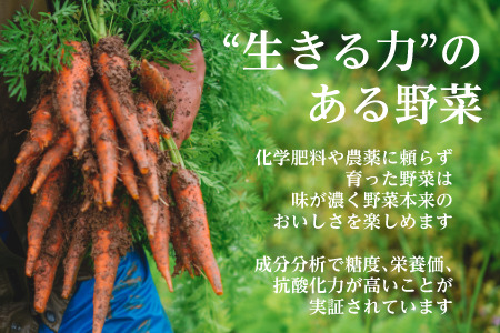 【訳あり】オーガニック野菜シェフセット7~10袋　フードロス 有機JAS認証 有機野菜 6148