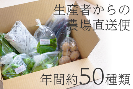 【訳あり】オーガニック野菜シェフセット7~10袋　フードロス 有機JAS認証 有機野菜 6148