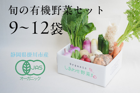 オーガニック野菜Lセット(9~12種類）　有機JAS認証 有機野菜 6337
