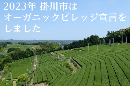有機栽培 深蒸し掛川茶 於愛の方 50g×3袋 5940