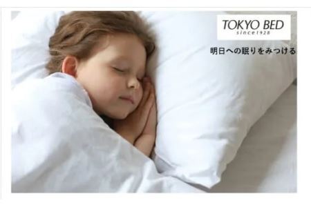 フランスベッド 羽毛布団 シングル2枚組(合掛け＋肌掛け)「 アルカナム 」寝具 布団 5865